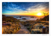 Path to the Pacific